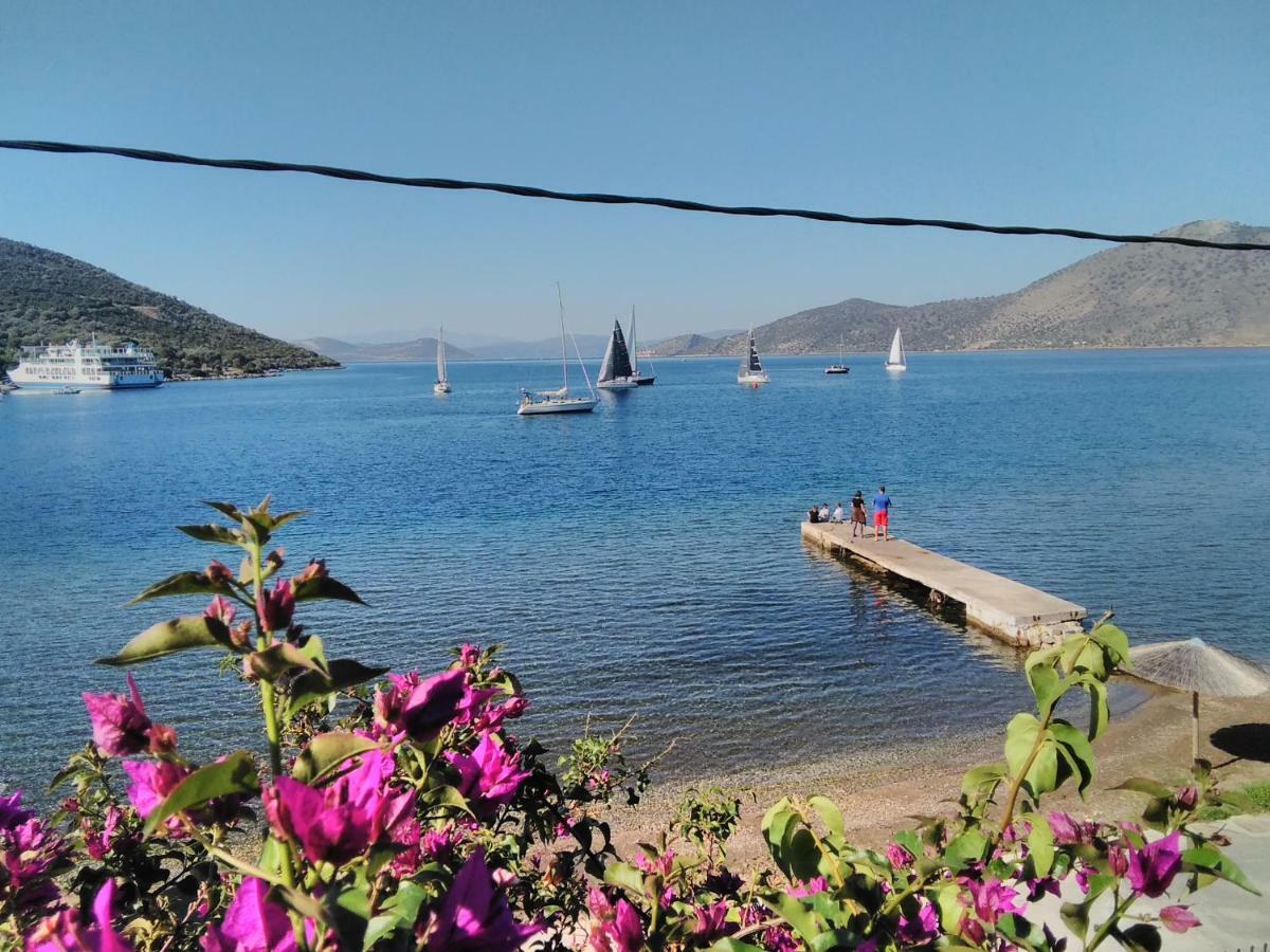Гостевой дом Meli-Ios Алмиропотамос Экстерьер фото